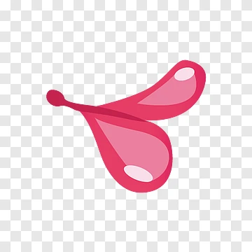 Pink Wings png