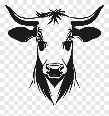Bull Face png